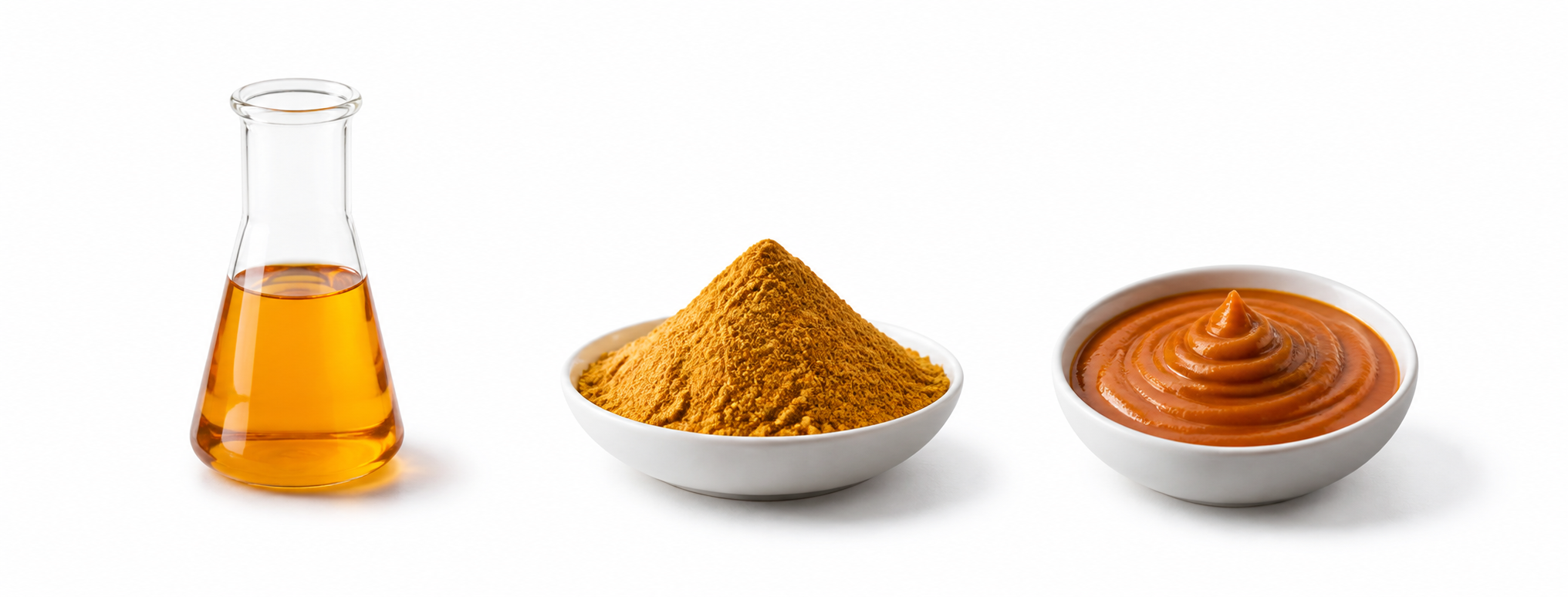 Powder vs Liquid Food Flavor: How to Choose the Right Format for Industrial Food Production